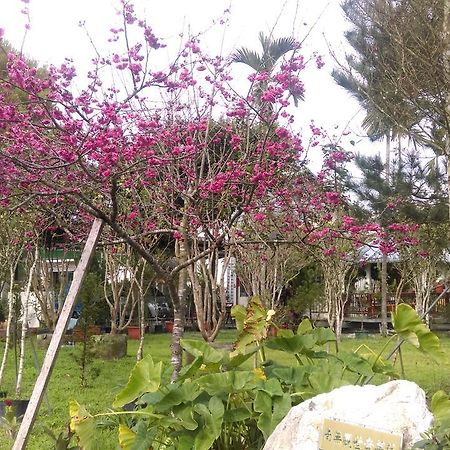 Sun Moon Lake Wild Flower Bed & Breakfast Yuchi Exterior photo