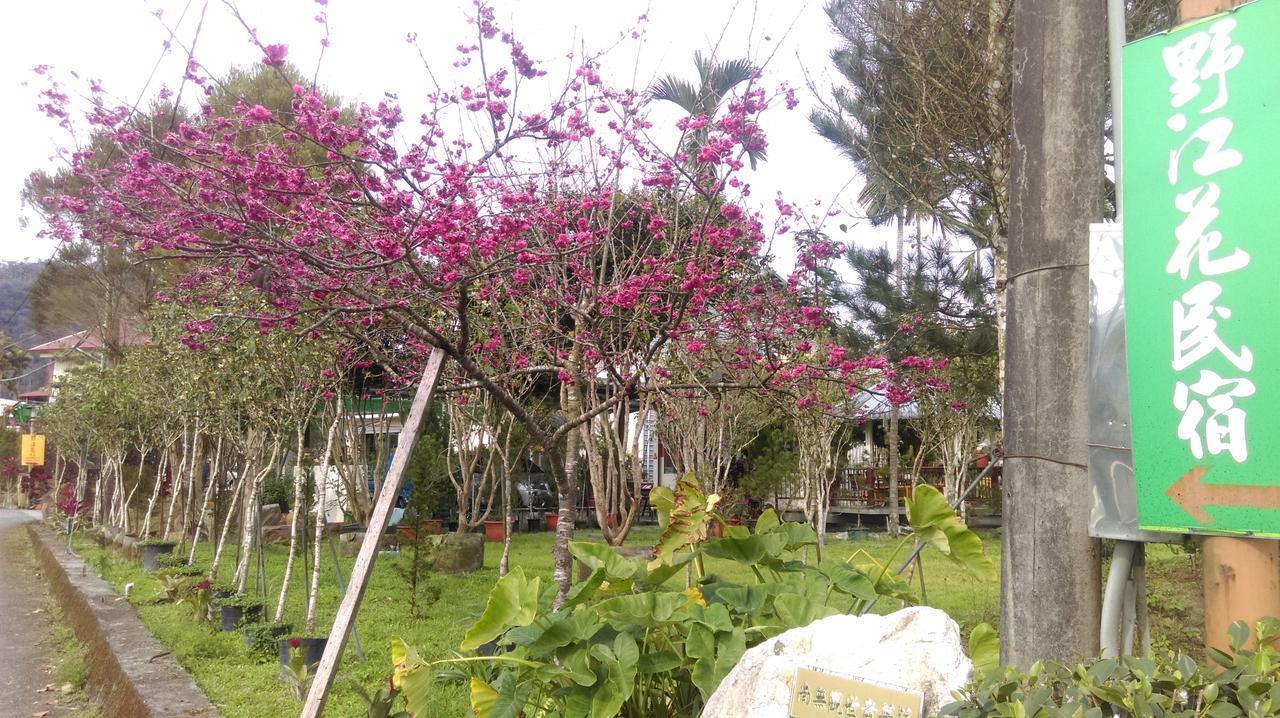 Sun Moon Lake Wild Flower Bed & Breakfast Yuchi Exterior photo